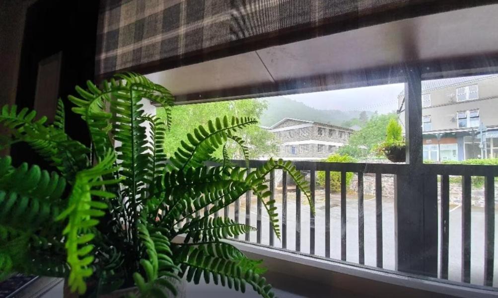 Fairy Falls Hotel Trefriw 외부 사진